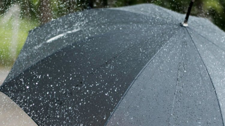 Lluvia y descenso de temperatura marcarán este domingo en NL