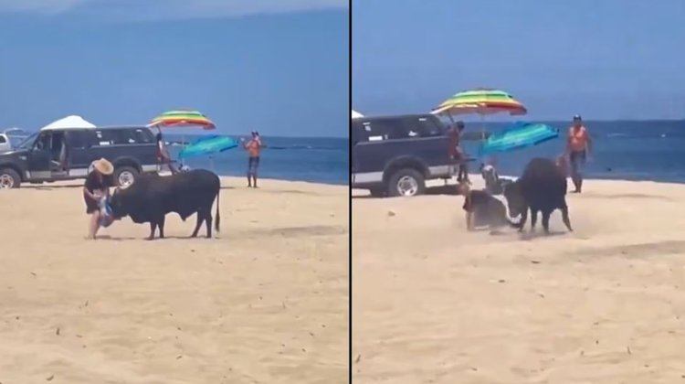 Toro embiste a mujer en una playa de Los Cabos