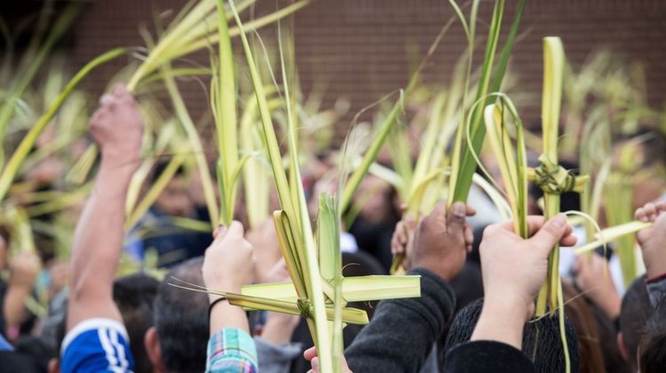 domingo_ramos_inicio_semana_santa_b694f46ffd