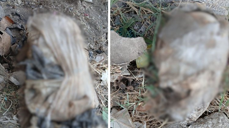 Credencial hallada en fosa ayudaría a identificar a desaparecida