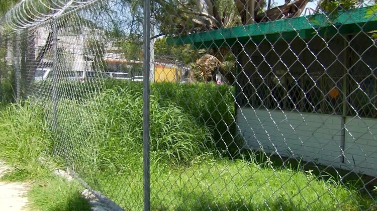 Atienden escuelas en NL para prevenir proliferación del dengue