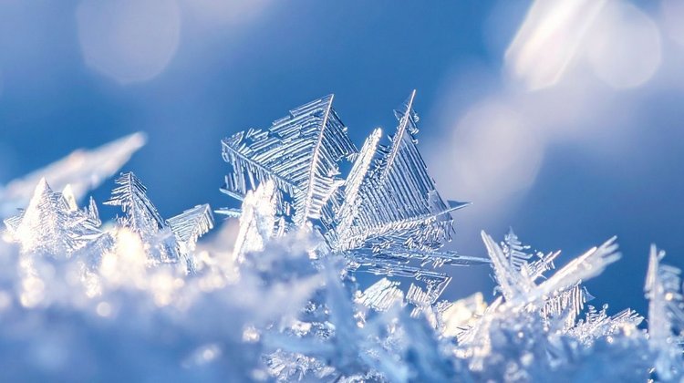 Protección Civil exhorta a resguardarse de las bajas temperaturas