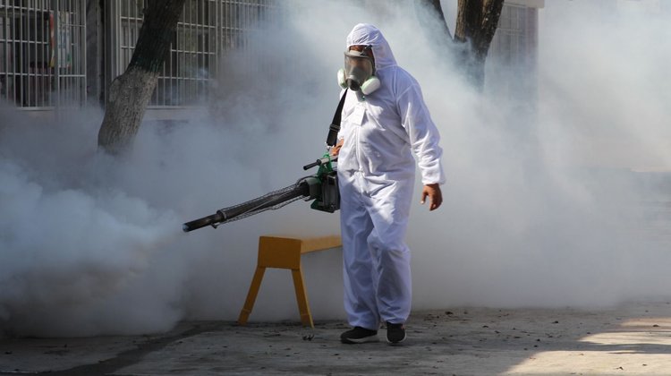 Coahuila registra 58 casos de rickettsiosis durante 2026