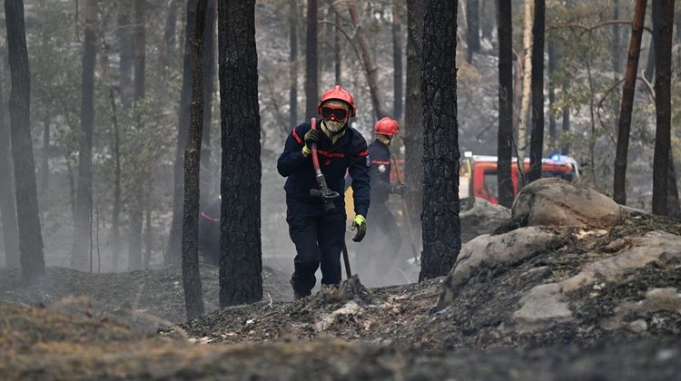 Suman 25,000 hectáreas forestales quemadas en el centro de España