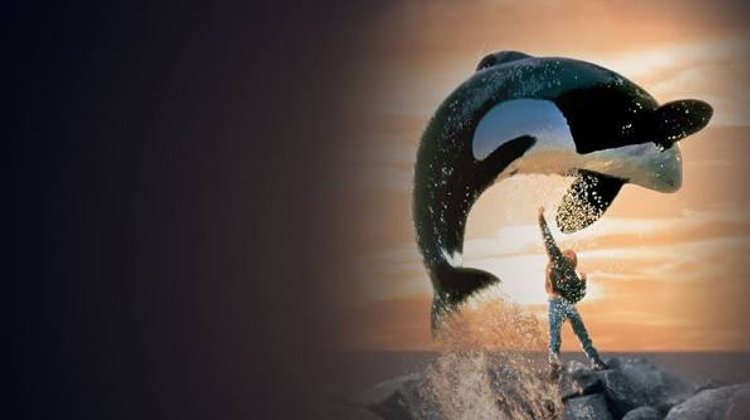 Warner Bros. prepara el regreso de 'Liberen a Willy'