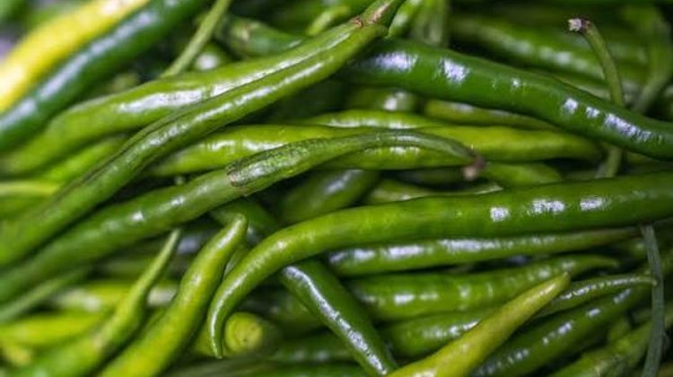 Cofepris investiga empacadora de jalapeño por salmonela