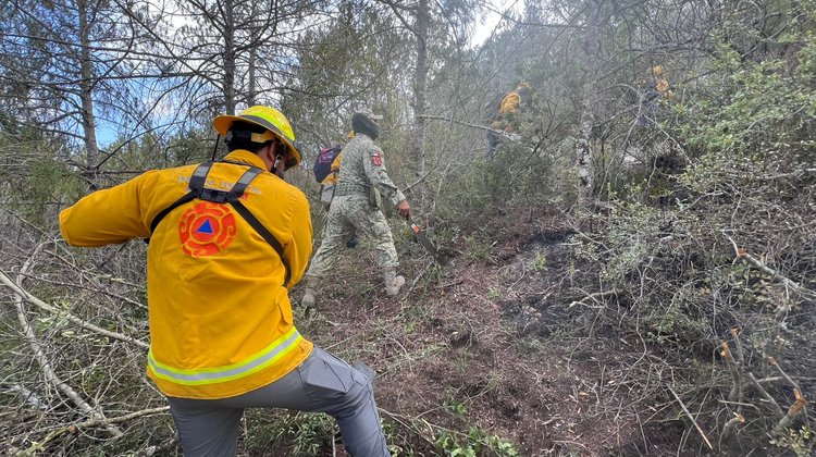 Rescatistas combaten incendio forestal en Dr. Arroyo, NL