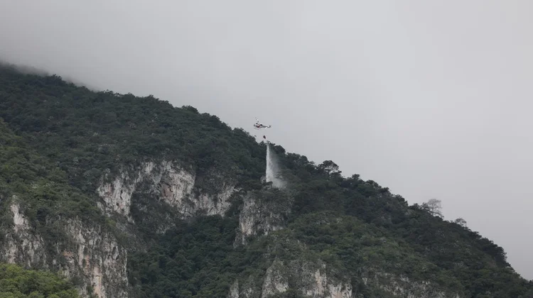 Controlan incendio forestal en el paraje 'El Diente'