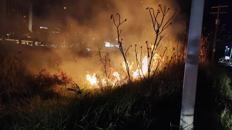 Arde vegetación en río Santa Catarina; moviliza a rescatistas
