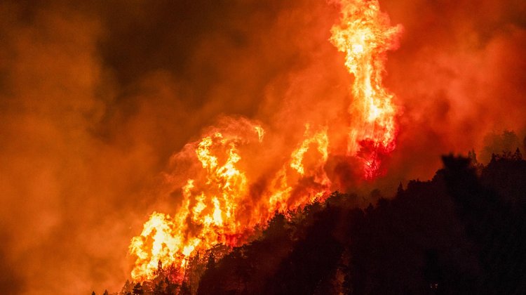 Incendios arrasan miles de hectáreas en la Patagonia de Argentina