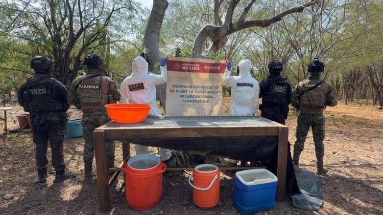 Inhabilitan laboratorio clandestino de metanfetamina en Sinaloa
