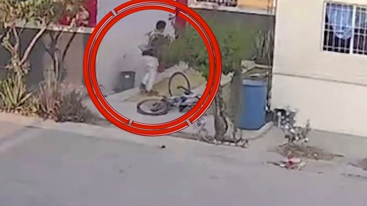 Captan maltrato a perro al exterior de vivienda en Juárez