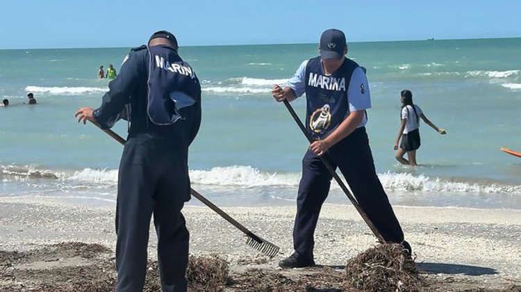 Refuerzan limpieza por hidrocarburo en Golfo de México