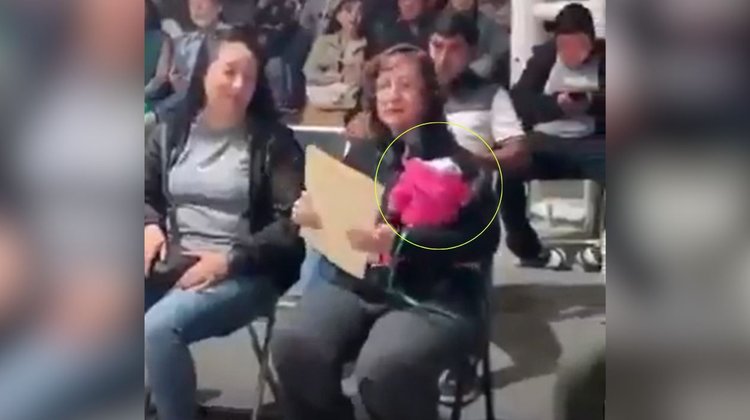 Exhiben a regidora de Jalisco con un mono araña de mascota