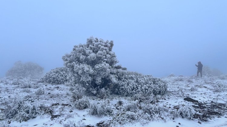 Tormenta invernal y frente frío helarán el norte del país