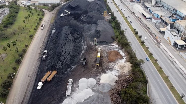 medium_nl_gigantes_toxicos_b198bf6493