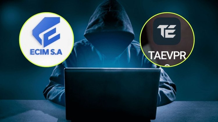 medium_nl_sitios_1_68308d1db5