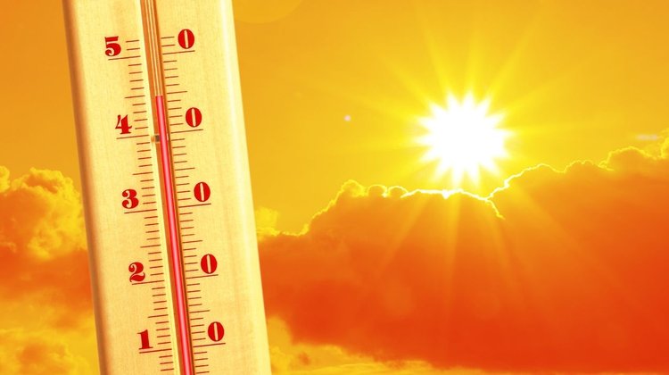 Onda de calor elevará temperaturas históricas en el sur de NL