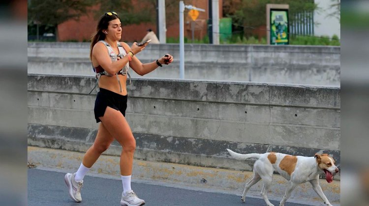 Ayúdanos a ubicar al perrito maratonista del Powerade Monterrey