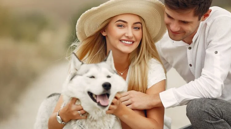 Proponen tutela compartida de mascotas en divorcios