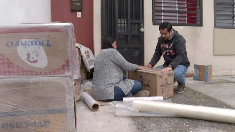 Crea refugios para proteger a perros y gatos callejeros