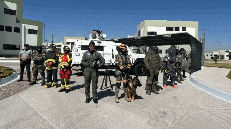 medium_senado_mundial_2026_43b6317174