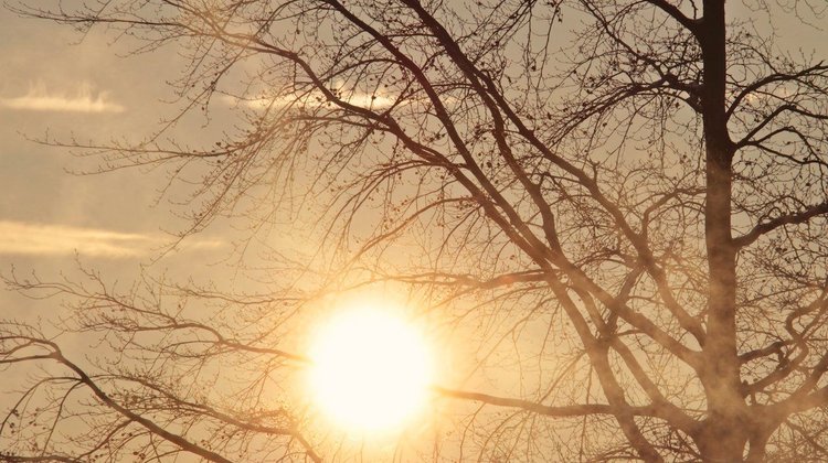 Temperatura en Moscú bate el récord de calor de 129 años