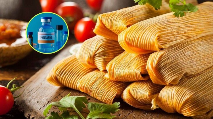 tamales_fentanilo_sheinbaum_e7d4cef525