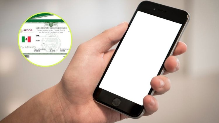 telefono_curp_9_enero_f35aee3034