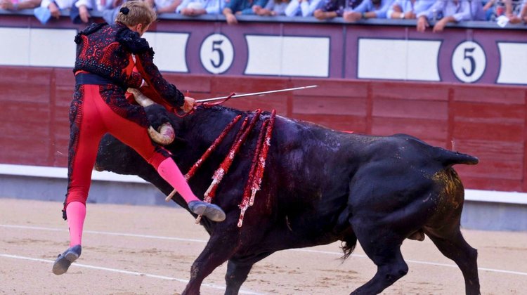 Así fue la fuerte cornada que sufrió el torero Clemente en Madrid
