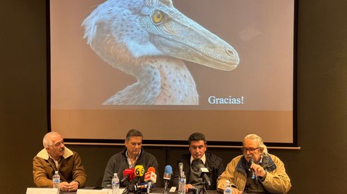 04bbeadf_ce60_4ffc_8c0f_a49e7da125f0_e6a650398f