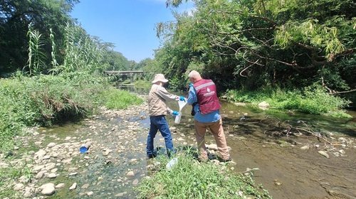 Conagua investiga qué alimenta a la maleza acuática en La Boca