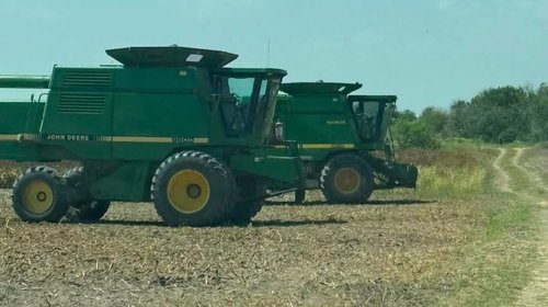 El campo de Reynosa agoniza entre falta de apoyos