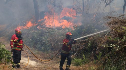 Italia envía aviones para combatir incendios en Portugal