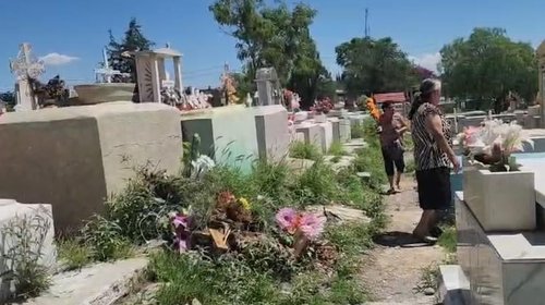 Reabren Panteón Santiago tras enjambre de abejas