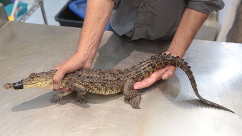 159233b5_50d8_423d_8057_11899ad8437c_b39bb7d186