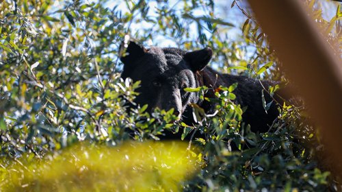 17dcf6ba_ac2b_467f_a4f5_2e21ca87916e_82bb8f5eb5