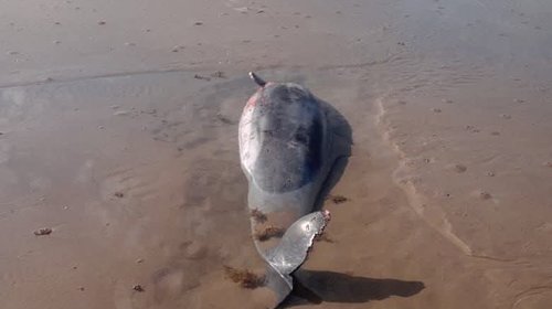 18df82ff_e9c7_485b_a9dc_f0598ef81f6a_2856c08184