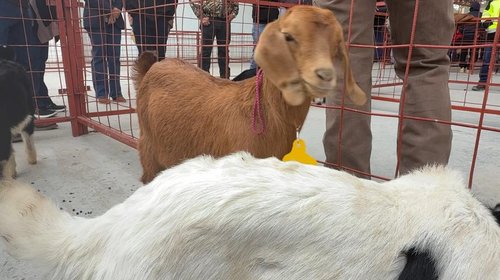 1ac64bdf_be04_492b_b85b_bbec447d62e7_a692b6c7d1