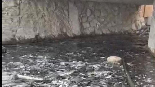 1e17d97c_55d9_44ef_971e_76caae587836_c4c6a8256b