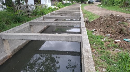 Piden precaución por cocodrilos en lagunas de Altamira