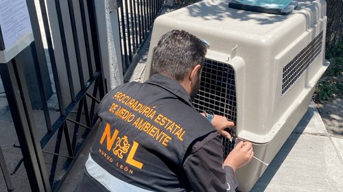 20260522_07_divisionambiental_rescate_maltratoanimal_02_93df2c3a90