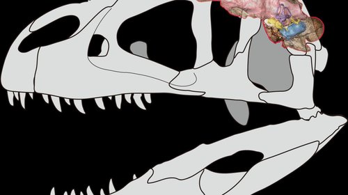 2ffd61495986e7f7207e5d6bad22b6aeb68d77d4w_f7b5acee90