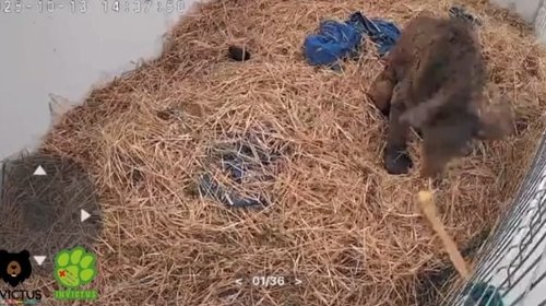 3a7a6383_1385_49e6_89e7_03e7ffc02572_d1d2cf290c