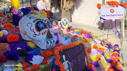 4c77e2c7_e347_430c_af51_0f23be86c4fb_9bf4ff922f