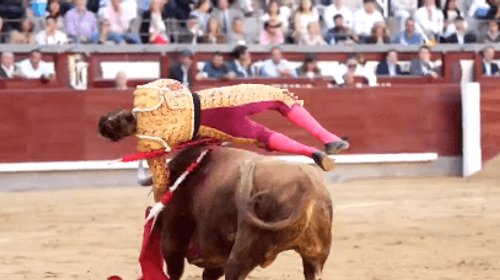 Novillero sufre cornada de 20 centímetros en plena faena