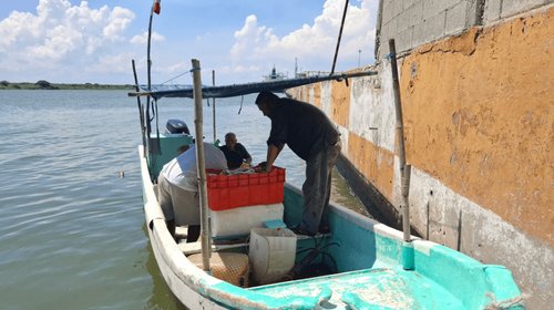 Hidrocarburo contamina embarcaciones en el río Pánuco