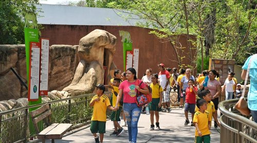 54758a81_547b_4867_bd57_983e09700bb4_d7fcdbecdd