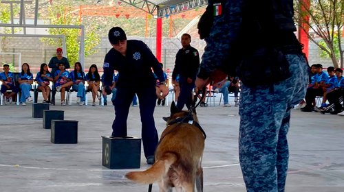 Más de 670 personas conocen trabajo de Policía K9 en Ramos Arizpe