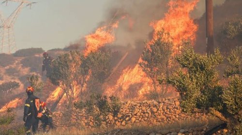 Incendio en España deja 12 muertos y 23 desaparecidos